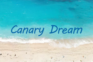 Canary Dream